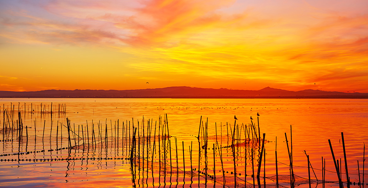 Comunidad Valenciana Albufera