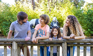Zoo Aquarium de Madrid