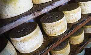 Queso Cabrales