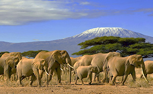 Parque Masai Mara, Kenia