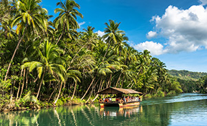 Isla Bohol, Filipinas