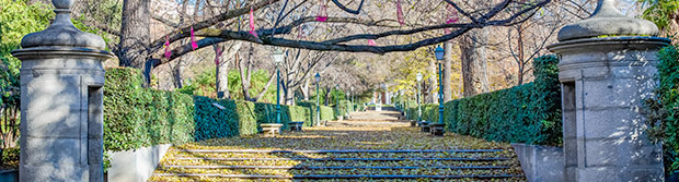 Jardín Botánico