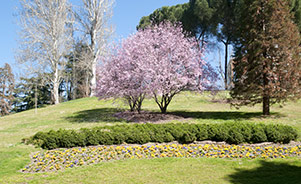 Parque del Oeste
