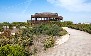 Parque Felipe VI