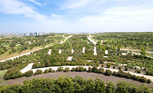 Parque Felipe VI
