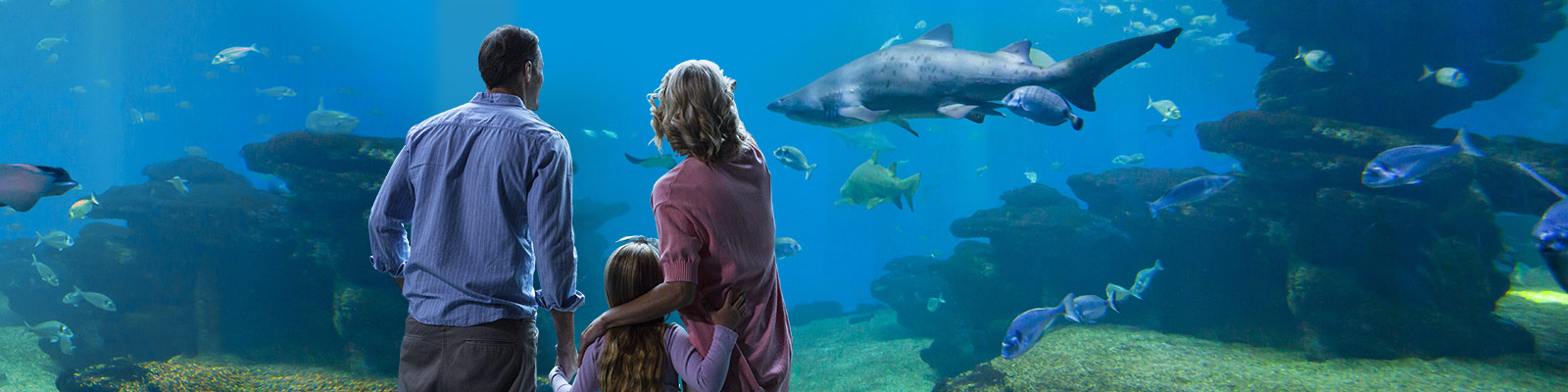 Familia disfrutando en el acuario