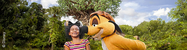 Walt Disney World Florida