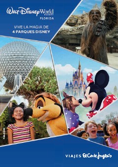 Walt Disney World - Orlando