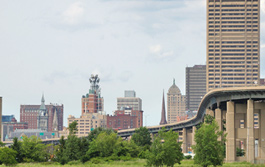 Buffalo