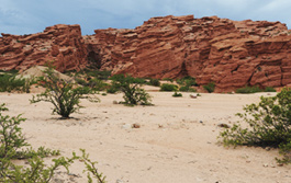 Salta