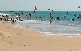 Nouakchott
