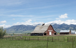 Bozeman