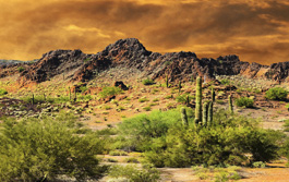 Ciudad Juarez