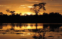 Campo Grande