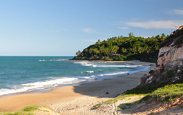Natal