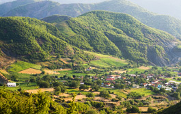 Tirana