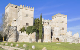 Palencia