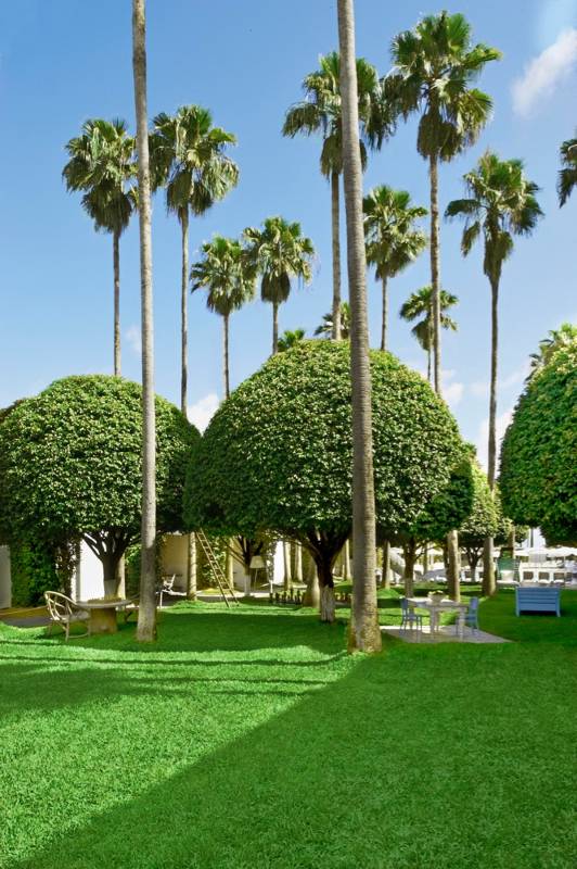 Delano South Beach Miami