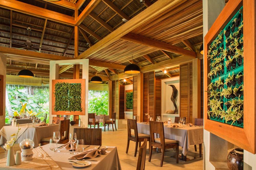 Niva Kuramathi Maldives