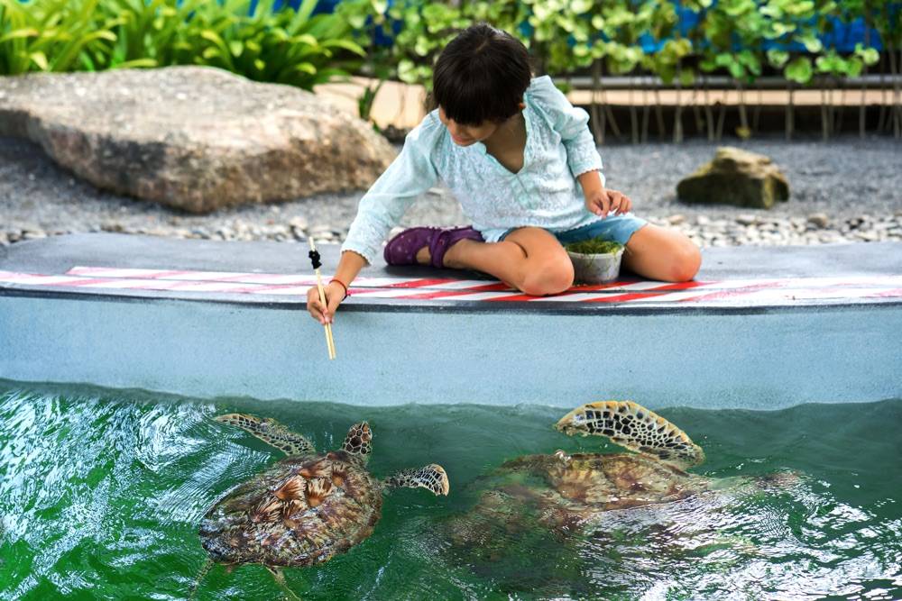 JW Marriott Phuket Resort & Spa