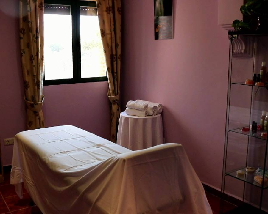 Hotel Rural El Tejarejo