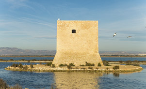 Torre de Tamarit, Santa Pola